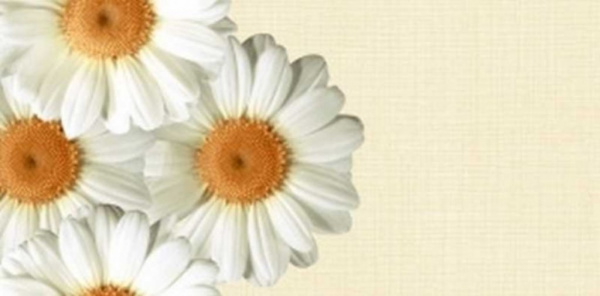 Декор 40х20 Камилла /507 (Нефрит-Керамика)