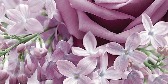 Декор Лилак 500*250 4513220