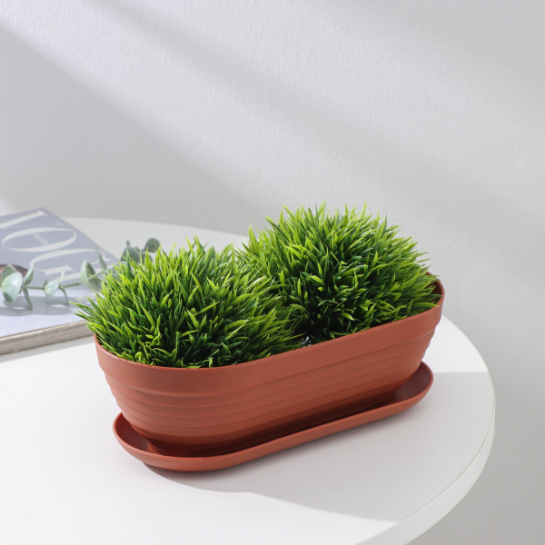 Горшок для кактуса с поддоном «Алиса», 0,9 л, h=7 см, цвет терракот/9877391