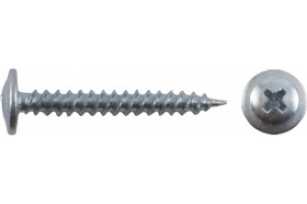 Саморезы для листовых пластин, остроконечные 4,2 х 19 (фасовка 250 шт)