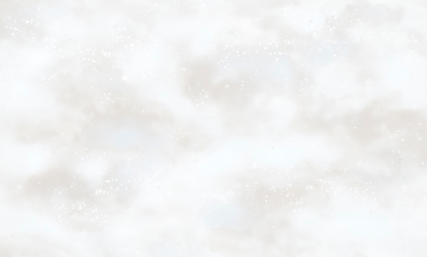 8718-10 (6) WallSecret Basic Обои горячего тиснения на флизелиновой основе 1,06*10,05