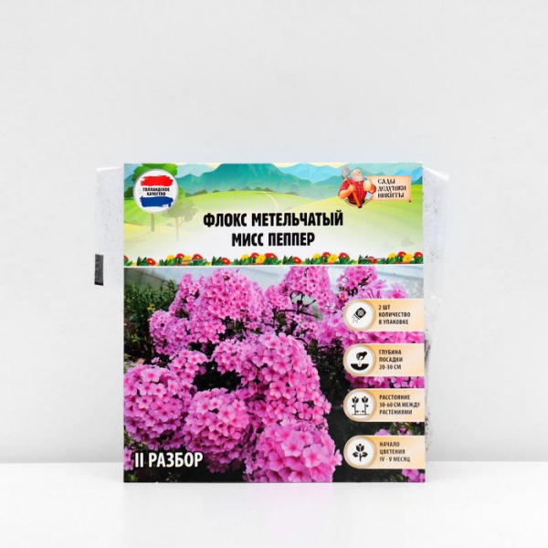 Флокс метельчтый "Miss pepper" р-р II, 2 шт, Весна 2023/9492007