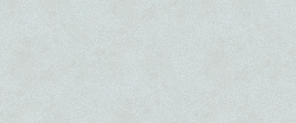 Обои Victoria Stenova Секрет фон 889743 СН/ПР