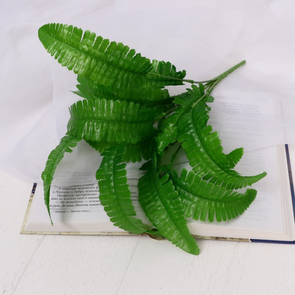 Букет "Папоротник Нефролепис" 26 см /7995332