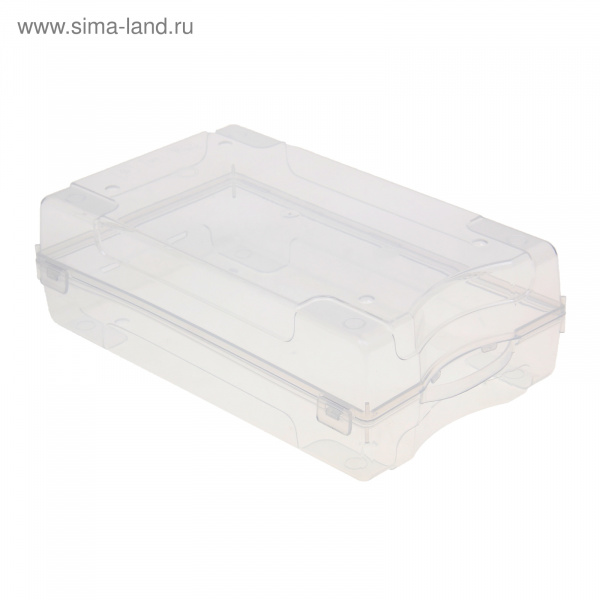 Контейнер для хранения обуви 32х19х10,5см "Реноме" /1155663