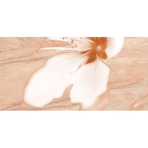 Декор Реноме 500х250 бежевый 11-221-0