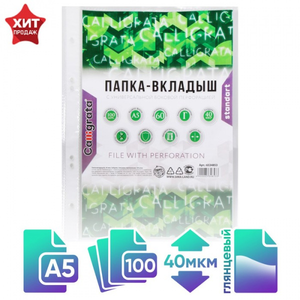 Файл-вкладыш А5, 40 мкм, Calligrata, глянцевый, вертикальный, 100 штук /6534853