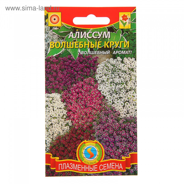 Семена Алиссум "Волшебные круги", смесь, О, 0,1г 1766722