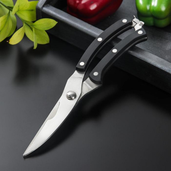 Ножницы кухонные Доляна «Профи», 30,5 см/1524000