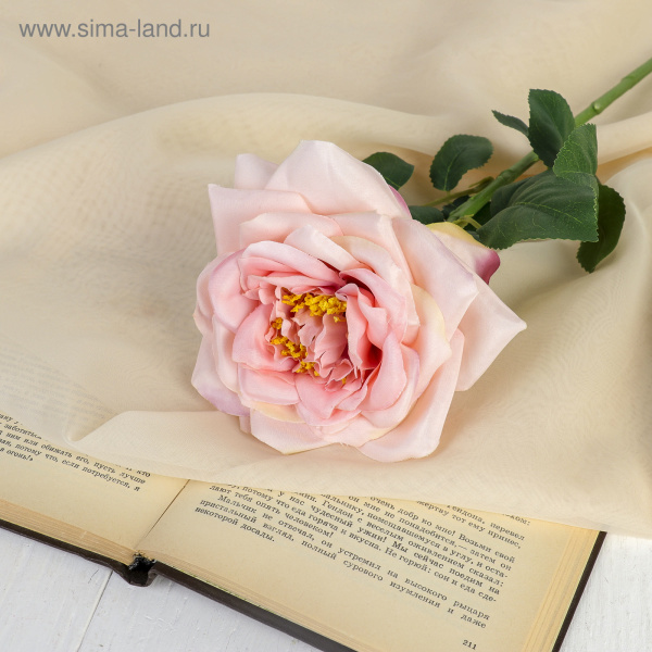 Цветы искусственные "Роза пиония"  10*60 см. розовая /3933379