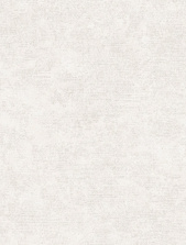 8812-04 (6) WallSecret Basic Обои горячего тиснения на флизелиновой основе 1,06*10,05