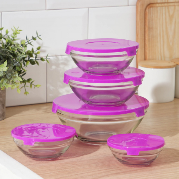 Набор салатников с крышками «Классика», 130/200/350/500/900 мл, 5 шт, цвет фиолетовый /7064144