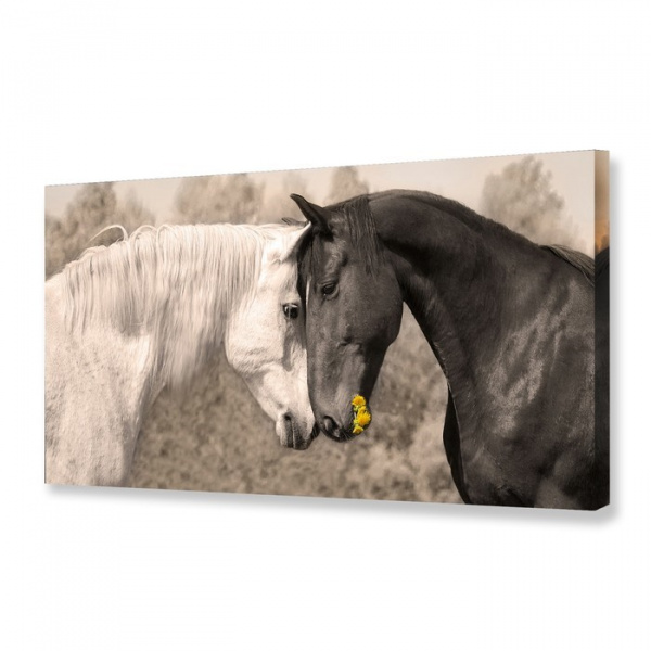 Картина на холсте "Любовь" 50х100 см /2614639