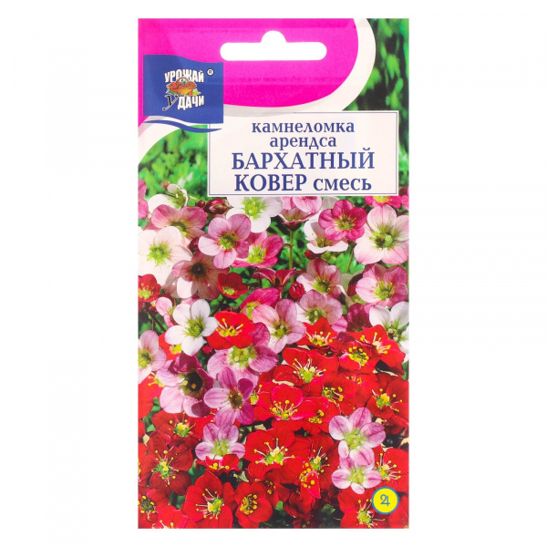 Семена цветов Камнеломка "Бархатный ковер", 0,01 г /6482038