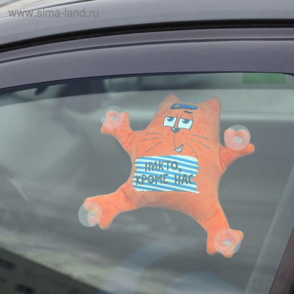 Автоигрушка «Никто кроме нас», котик, 19 см х 4 см х 21 см/2460063