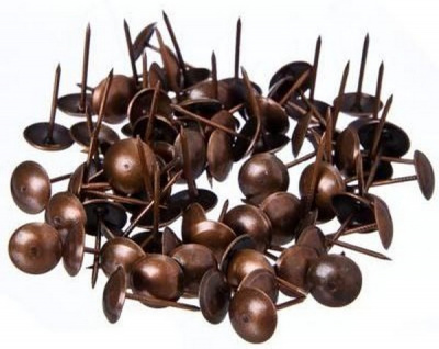 Гвоздики бронза (100шт) 266001