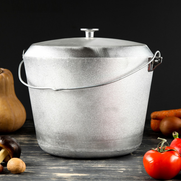 Казан рыбацкий 11 л с крышкой и дужкой 3408285