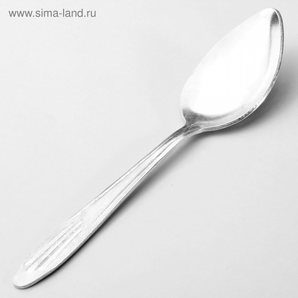 Ложка столовая /1310426
