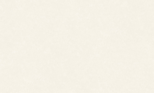 8956-11 (6) WallSecret Comfort Обои горячего тиснения на флизелиновой основе 1,06*10,05