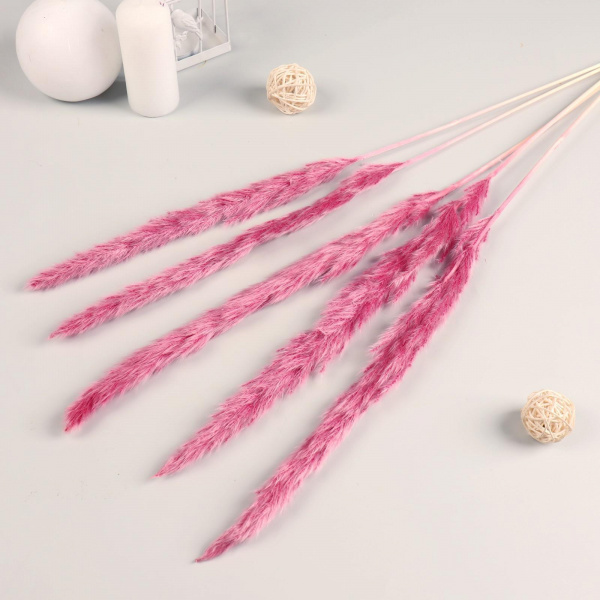 Декор сухоцвет "Кортадерия" 65 см, розовый/7081254
