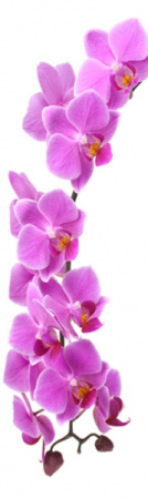 Магнит на холодильник 600*2000*0,4мм  №13