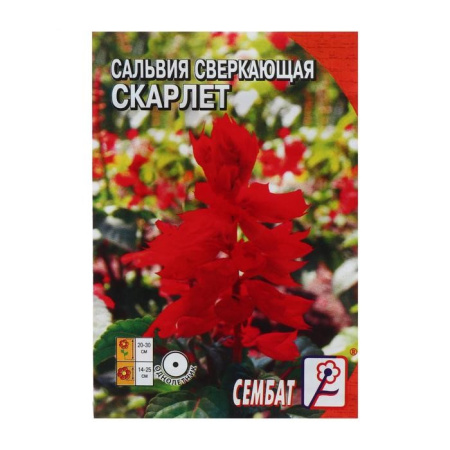 Семена цветов Сальвия сверкающая "Скарлет", 0,05 г /5464144