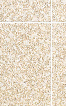 Панель Eucatex Sahara 6x8/Сахара 15х20 (1220x2440x3 мм)