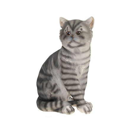 Котик /018937