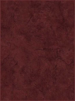 Кафель Tokio бордо 25*35 C-TKM191R 