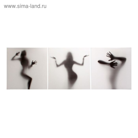 Картина модульная на подрамнике "Силуэт" 3шт-50х50 см; 50*150 см/1722537