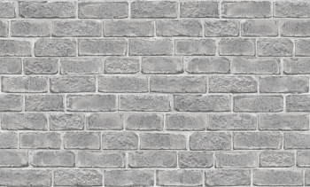 8866-19 (6) WallSecret Basic Обои горячего тиснения на флизелиновой основе 1,06*10,05