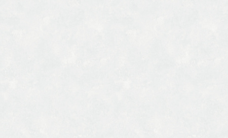 8954-10 (6) WallSecret Comfort Обои горячего тиснения на флизелиновой основе 1,06*10,05