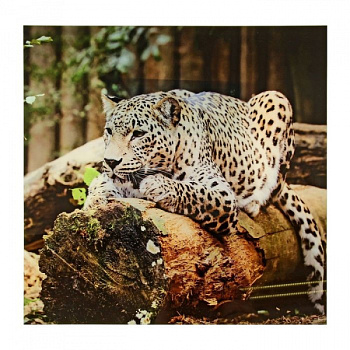 Картина на стекле "Леопард" 30*30см /1138516