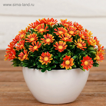 Бонсай в горшке "С ромашками" 10х10х11см 1840775