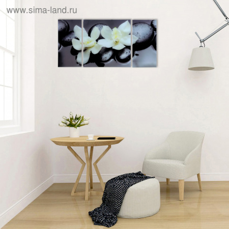 Модульная картина на стекле "Пара орхидей" 2-25*50см, 1-50*50см 100*50см/1160097