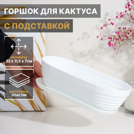 Горшок для кактуса с подставкой «Алиса», 0,9 л, цвет белый /4330133