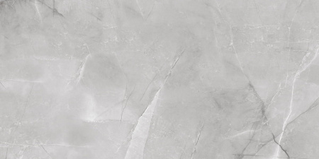 AB 1142G Armani Silver полированный 120*60, Absolut Gres