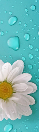 Магнит на холодильник 600*2000*0,4мм  №7