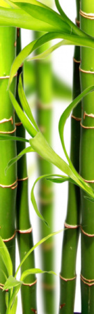 Магнит на холодильник 600*2000*0,4мм  №10