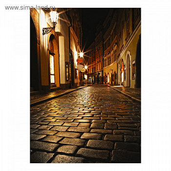 Фотообои DECOCODE Ночной бульвар 21-0008-YB