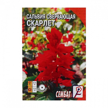 Семена цветов Сальвия сверкающая "Скарлет", 0,05 г /5464144