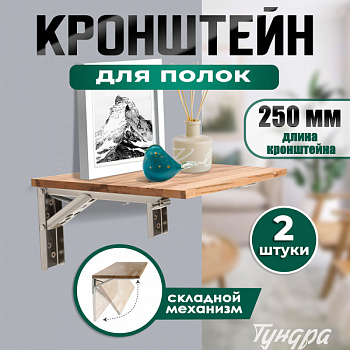 Кронштейн складной для столов и полок ТУНДРА, F001 , 2 шт., длина 250 мм., нержавеющая сталь 9703997