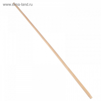 Черенок для щётки 1,2м с резьбой Ф22 /2362487