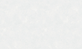 8954-10 (6) WallSecret Comfort Обои горячего тиснения на флизелиновой основе 1,06*10,05
