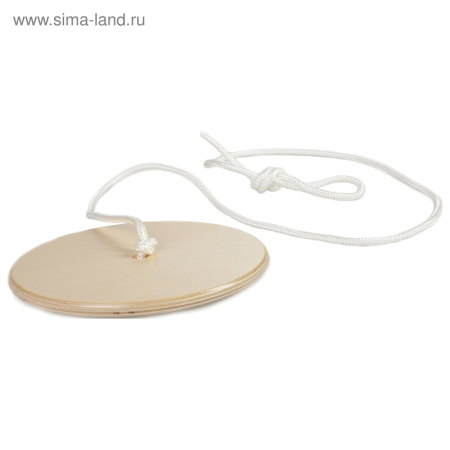 Диск-качели /4295147