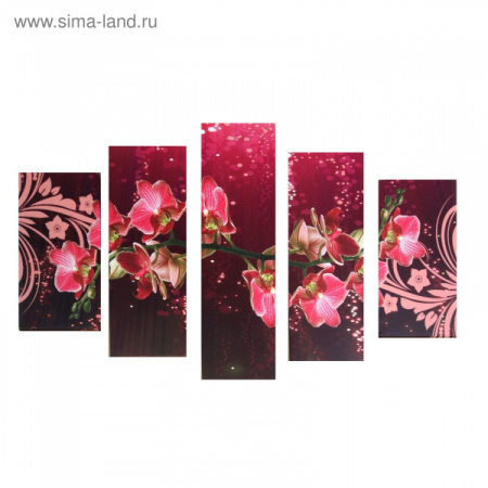 Модульная картина "Загадочная орхидея" 75*135см 1138385
