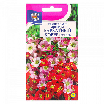 Семена цветов Камнеломка "Бархатный ковер", 0,01 г /6482038