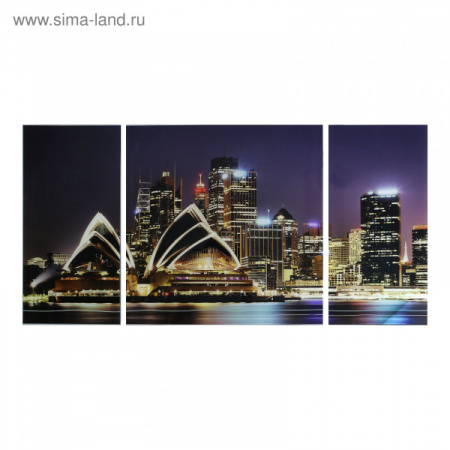 Модульная картина на стекле "Сидней" 100х50см-1164162