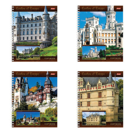 Тетрадь 80 л. кл. греб. ЗАМКИ ЕВРОПЫ А5 мел. карт./149149