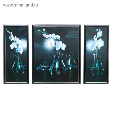 Картина модульная "Орхидеи в стеклянной вазе" 2-54х24, 1-54х43 см, 90*53 см/1070673